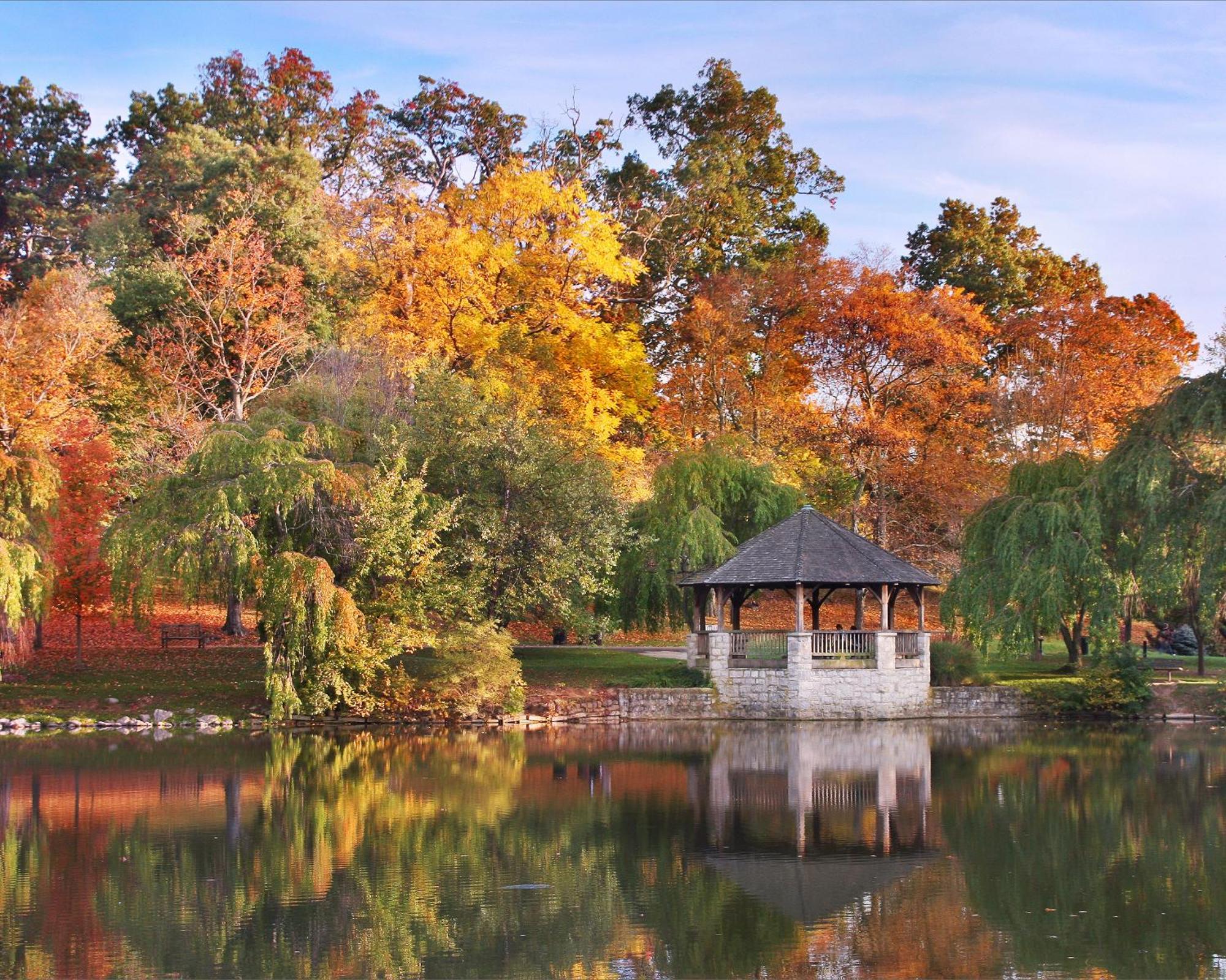 The At Virginia Tech - On Campus