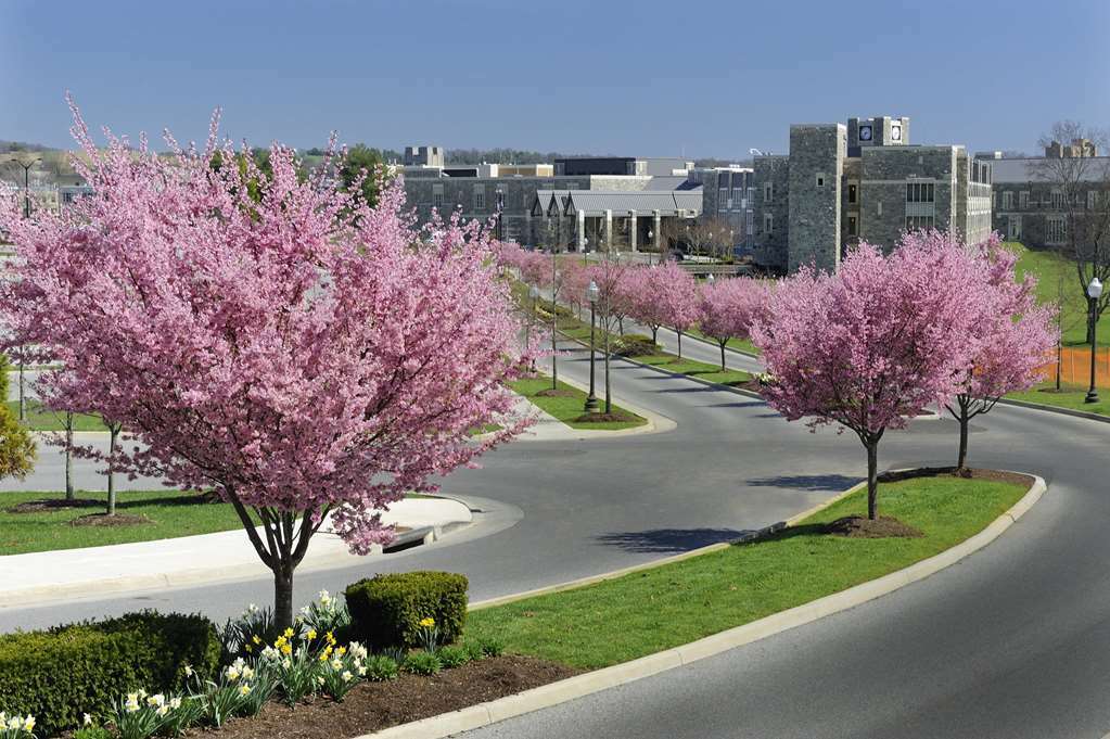 The At Virginia Tech - On Campus Hotel Blacksburg